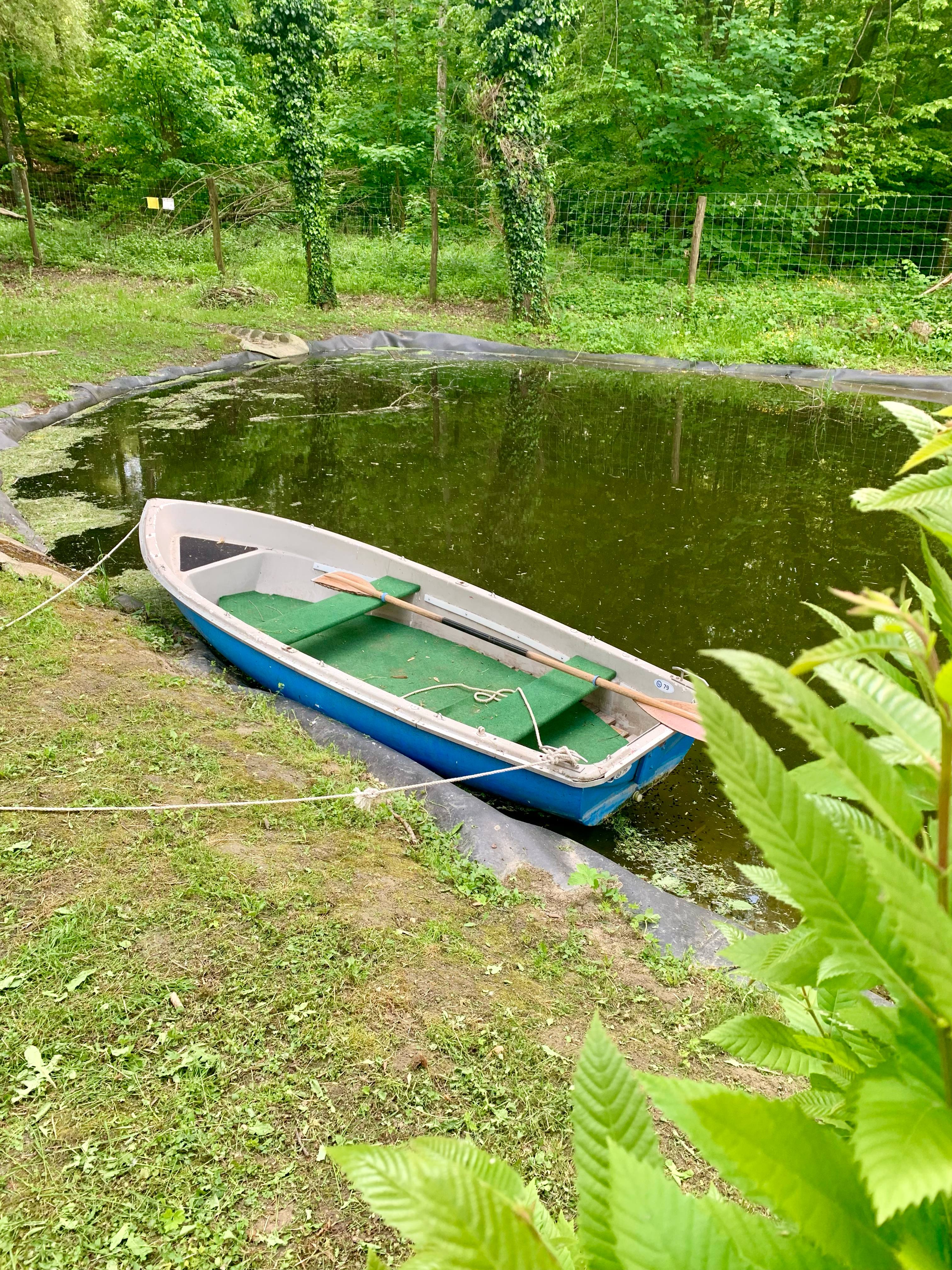 Gallery image 12